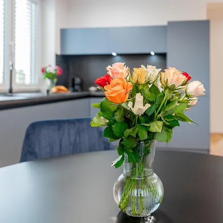 Apartment Luxusny Klimatizovany Dvojspalnovy Narodna Trieda, Kosice, Free Parking *